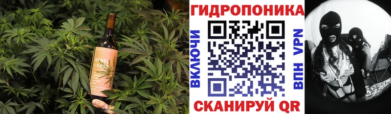 даркнет наркотические препараты  Буйнакск  Печенье с ТГК марихуана 