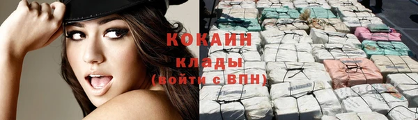 бошки Богданович