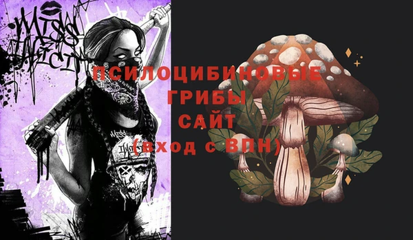 бошки Богданович