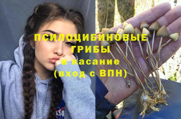 PSILOCYBIN Богородск