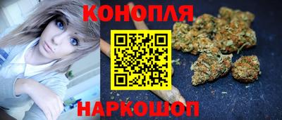 прущие грибы Обь