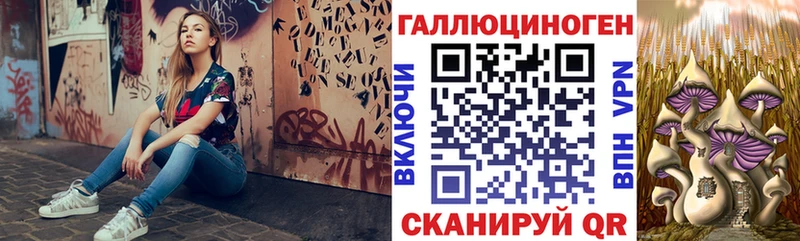 купить   Буйнакск  Галлюциногенные грибы мицелий 